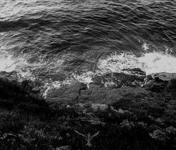 From Deep Cursed Mountains